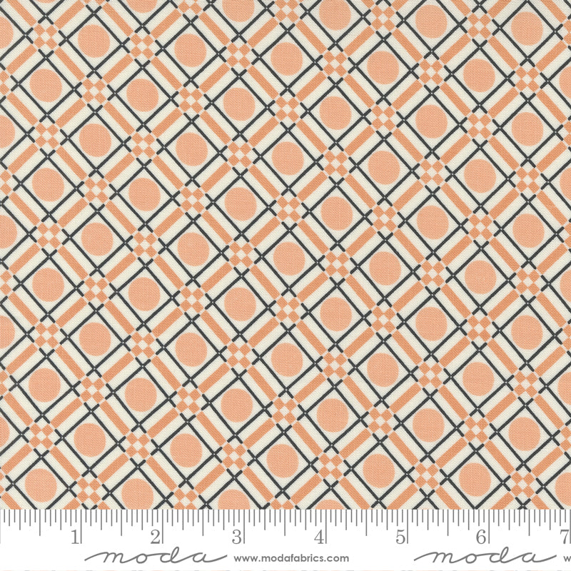 Owl-O-Ween ✿ Party Plaid ✿ Orange