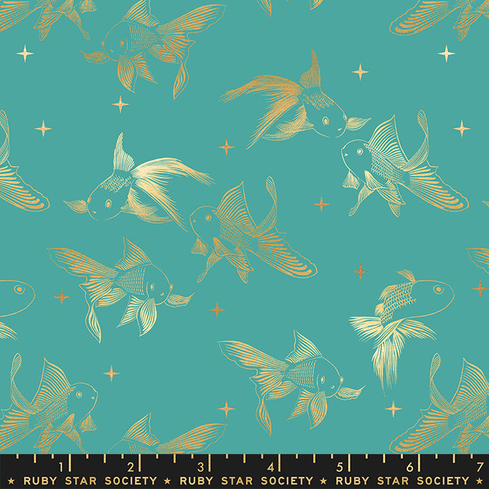Curio ✿ Goldfish ✿ Succulent
