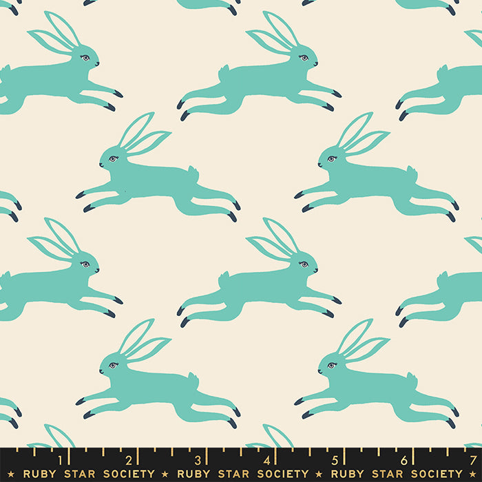 Backyard ✿ Bunny Run ✿ Icebox