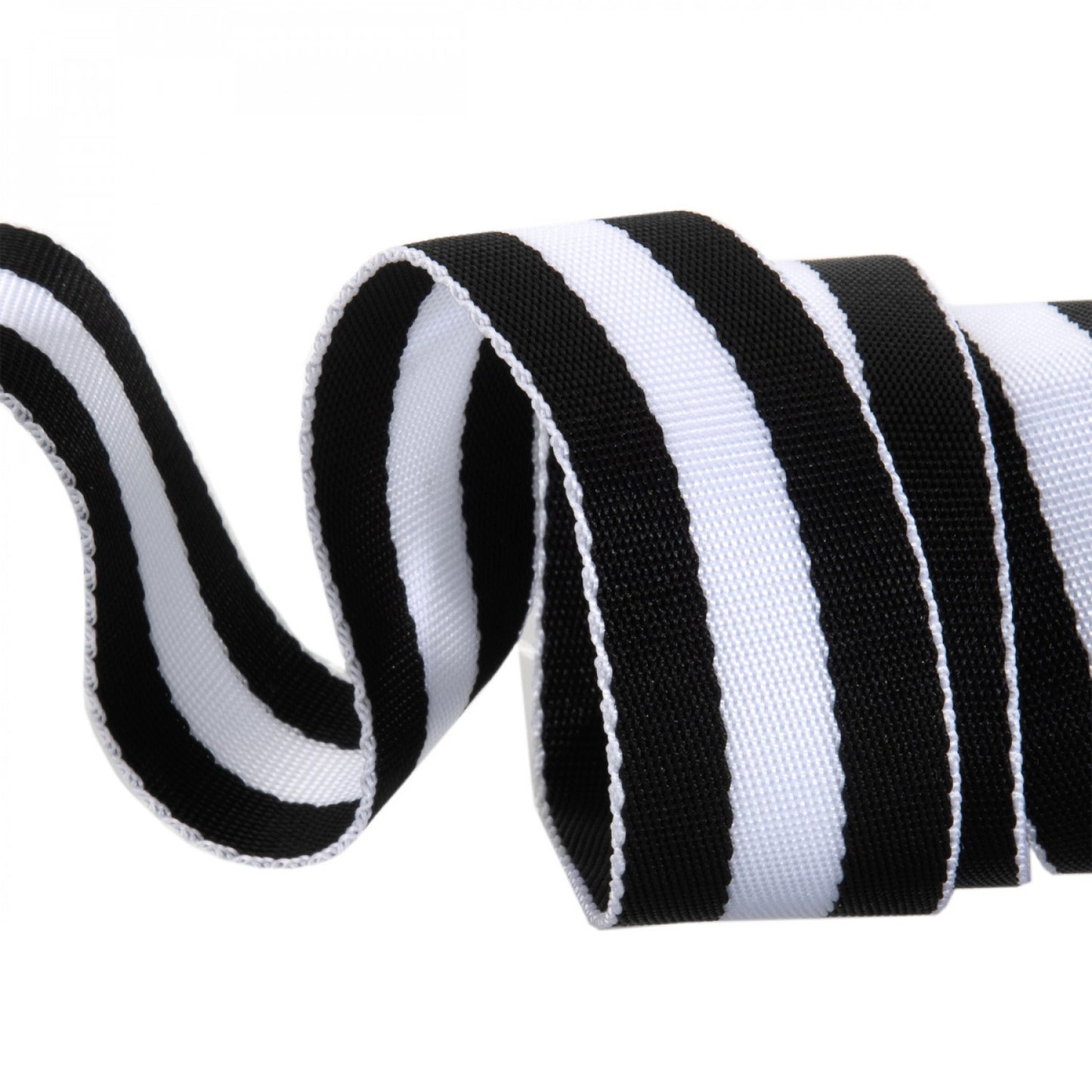 Tula Pink ✿ Webbing ✿ Black & White